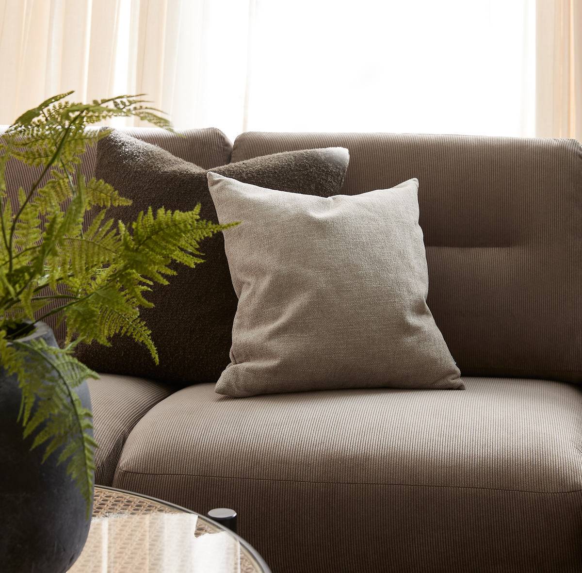 Närbild av en beige-brun soffa med två prydnadskuddar, en ljus och en mörk texturerad, med en grön ormbunksväxt i svart vas och mjuka ljusa gardiner i dagsljus.