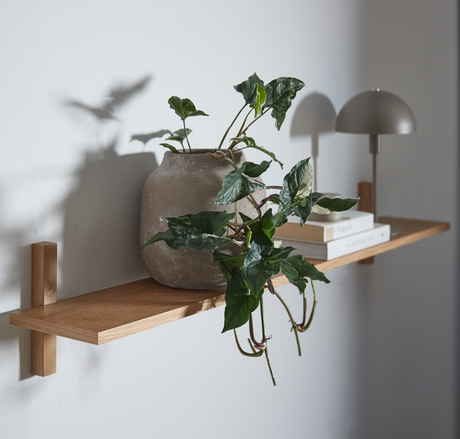 Väggmonterad trähylla med krukväxt, böcker och liten bordslampa i mjukt dagsljus.