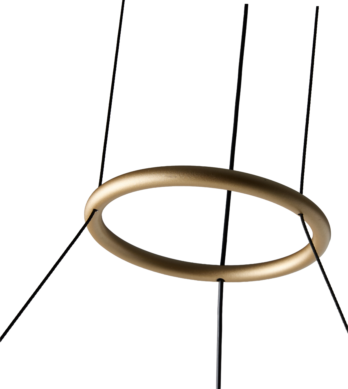 Rund gyllene ringformad pendellampa upphängd i svarta linor mot vit bakgrund.