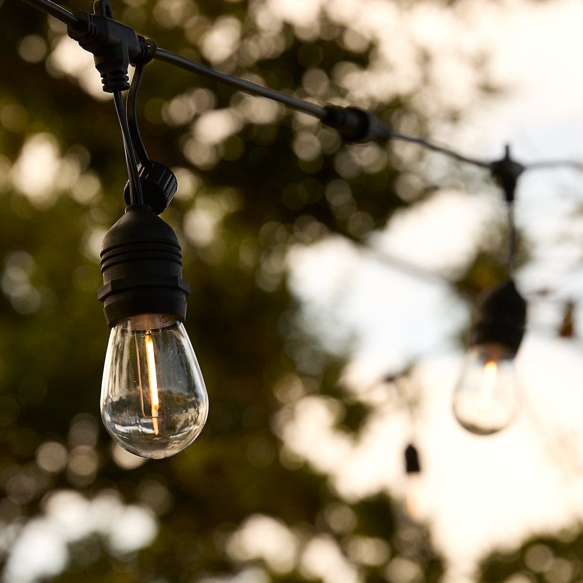 Närbild på en tänd glödlampa på en utomhus lyskedja, med suddig grönskebakgrund i skymningsljus.