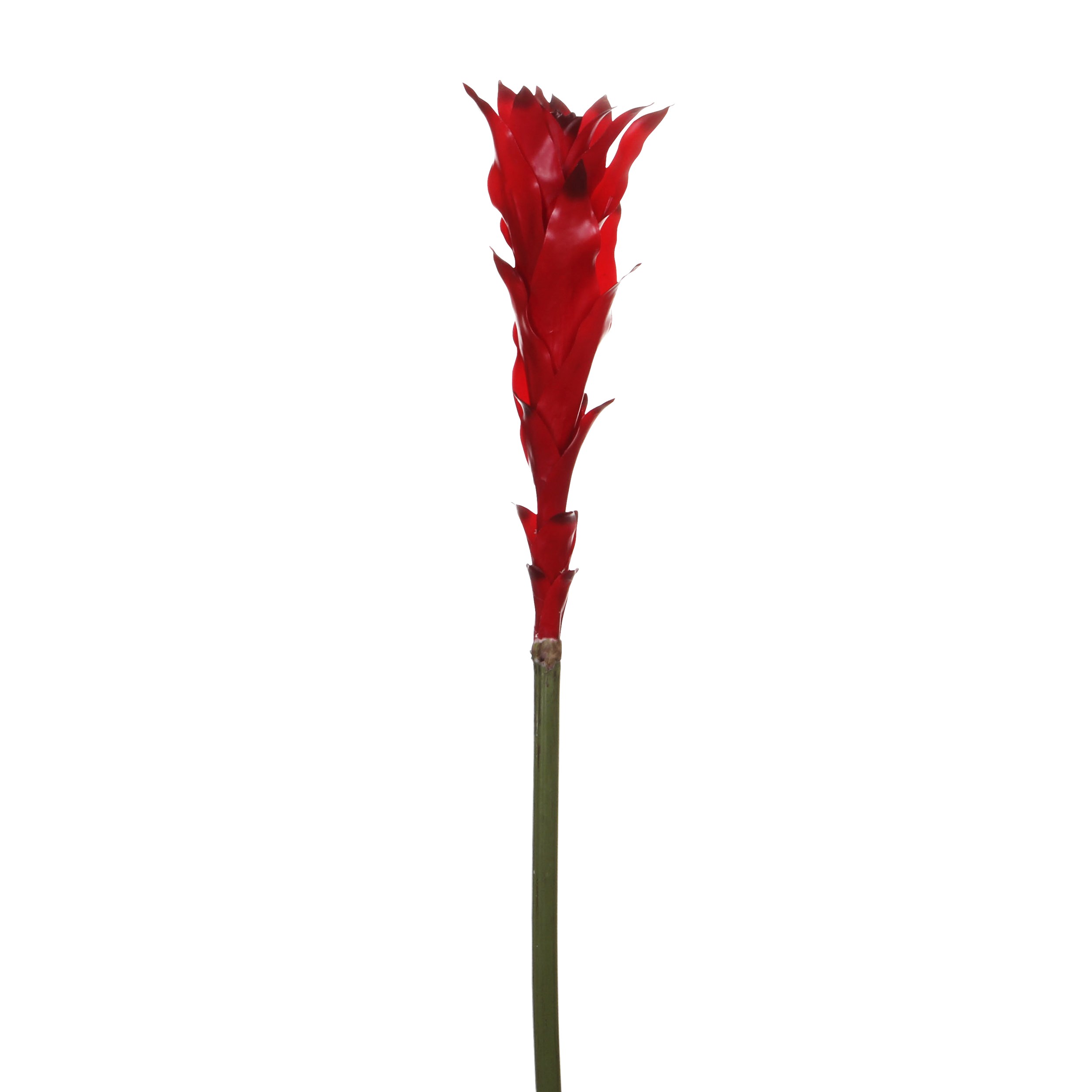 Cachi konstgjord växt 102 cm - Röd vriesea