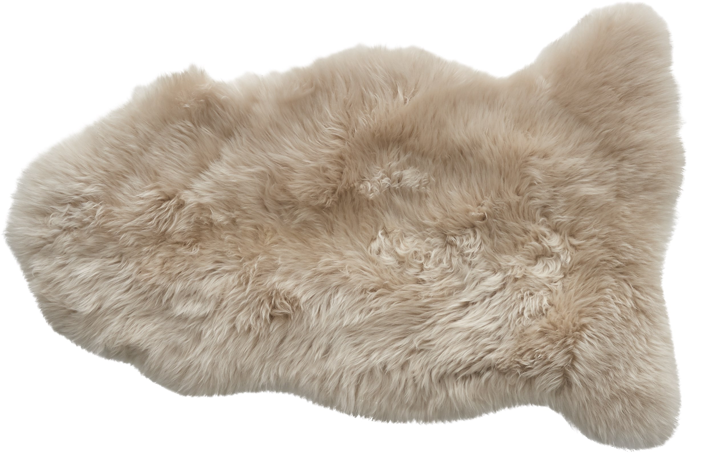 Lamb 60 x 90 cm lammskinn - Korthårig beige ull