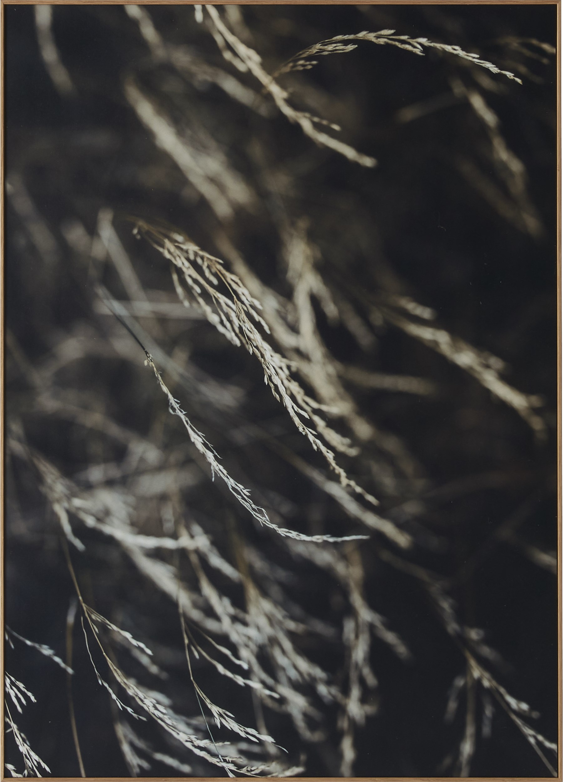 Havdal Fotoprint 50 x 70 x 1,9 cm - Grasses no.1 och träram i ek