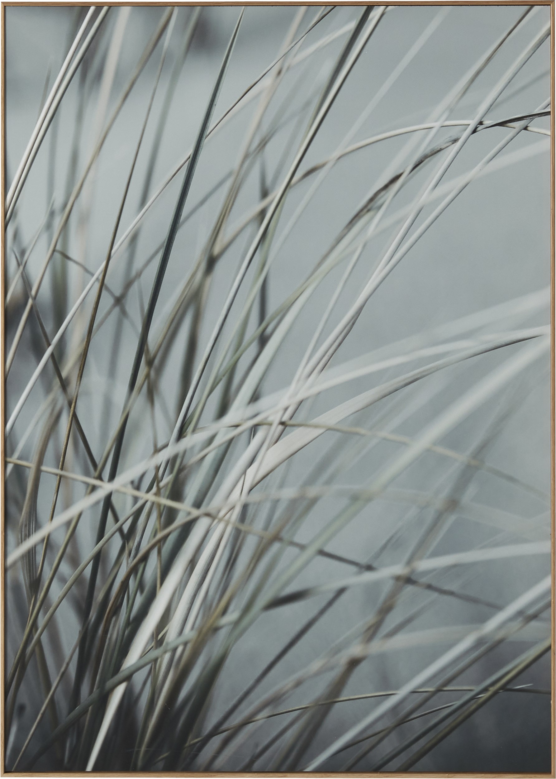 Havdal Fotoprint 50 x 70 x 1,9 cm - Grasses no.3 och träram i ek