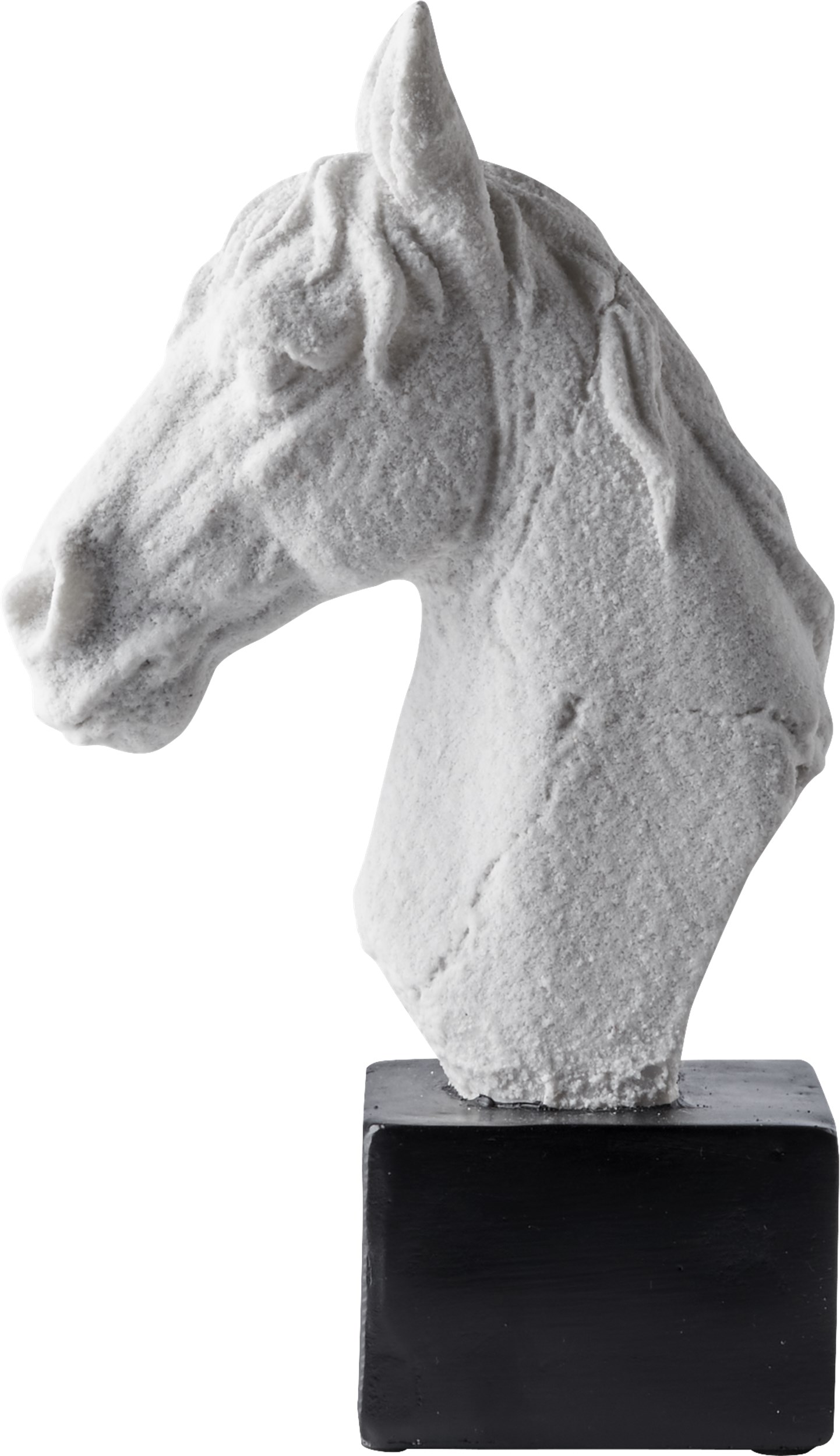 Cavallo Prydnad 26,5 x 28 x 9 cm - Vit polyresin och Hästhuvud