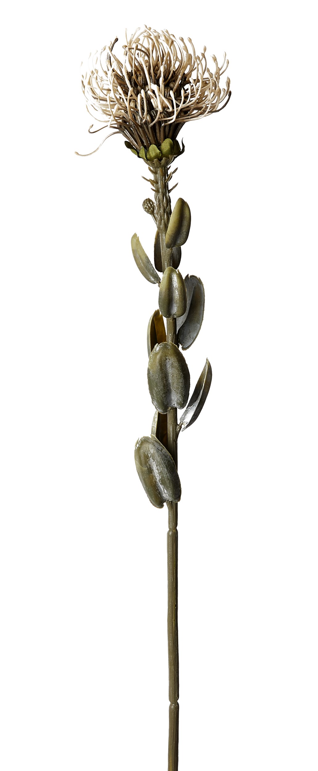 Nutans konstgjord växt 60 cm - Beige blomma och grön stjälk