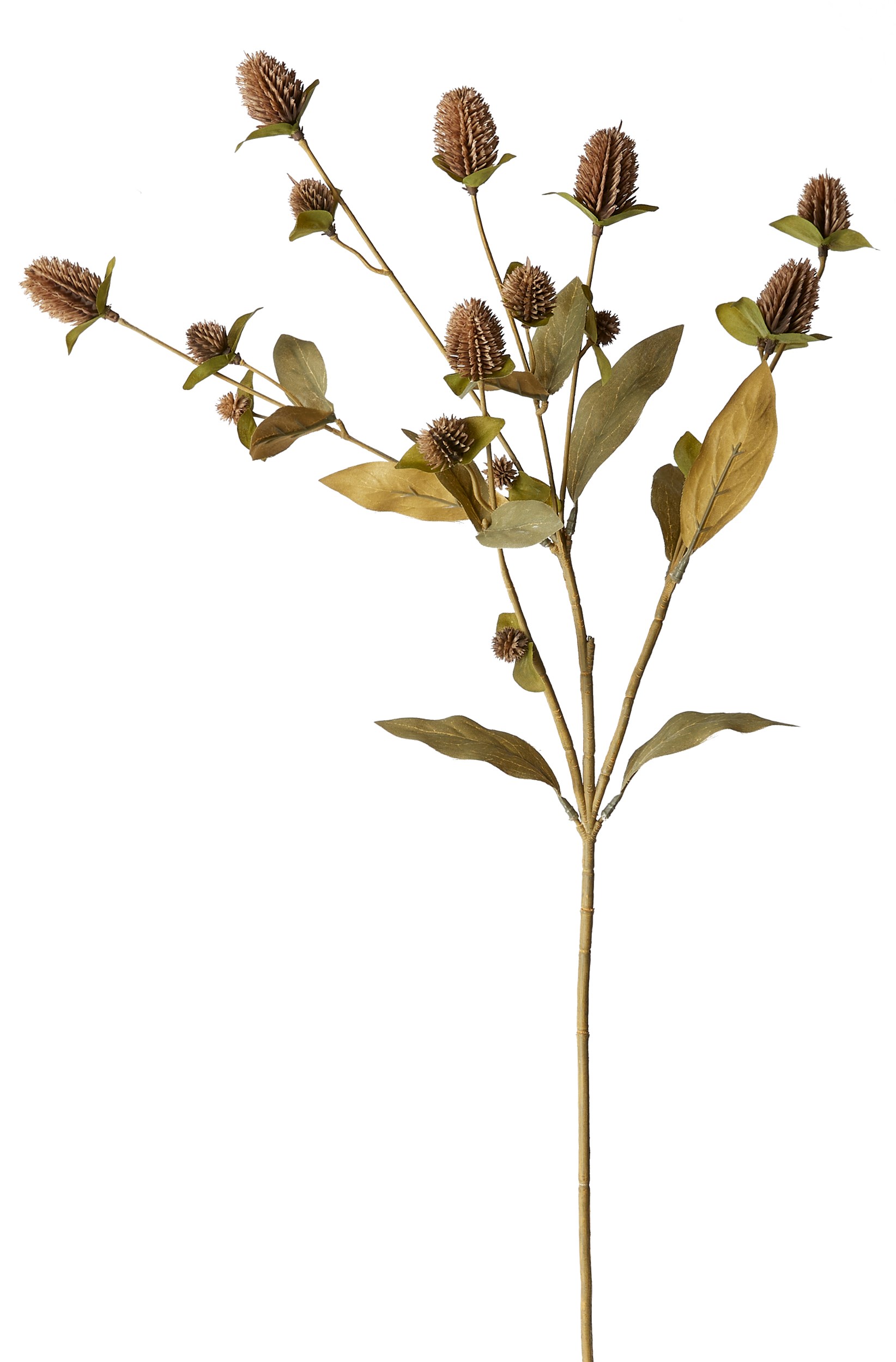 Gomphrena konstgjord växt 85 cm - Bruna blommor och grön stjälk
